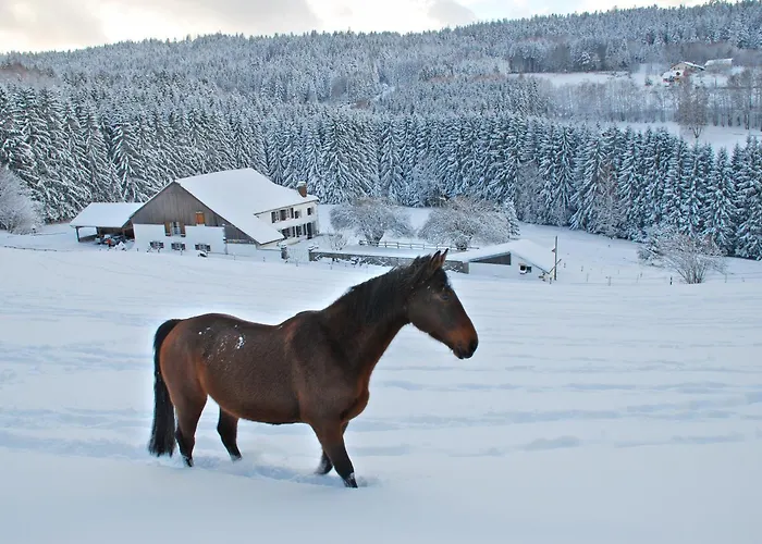Chambre d'hotes Kieffer